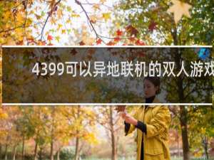 4399可以异地联机的双人游戏