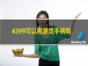 4399可以用游戏手柄吗