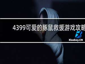 4399可爱的豚鼠救援游戏攻略