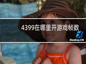 4399在哪里开游戏帧数