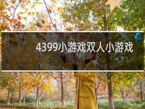 4399小游戏双人小游戏