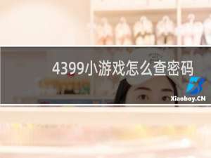 4399小游戏怎么查密码