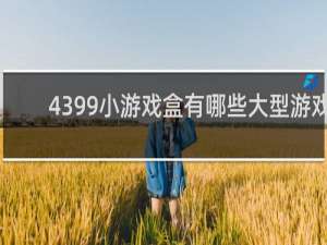 4399小游戏盒有哪些大型游戏