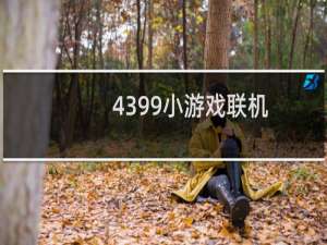 4399小游戏联机