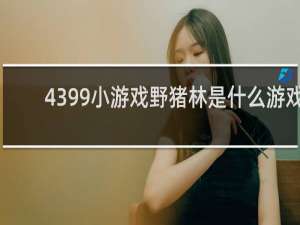 4399小游戏野猪林是什么游戏