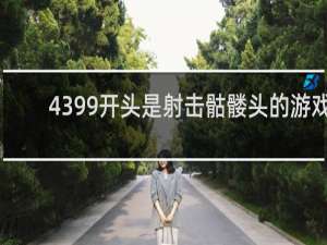 4399开头是射击骷髅头的游戏