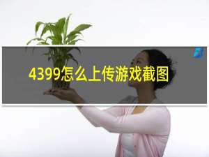 4399怎么上传游戏截图