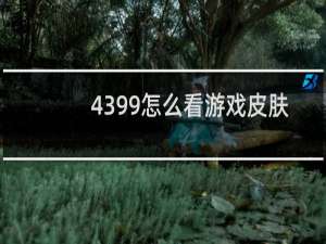 4399怎么看游戏皮肤