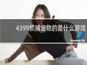 4399抓捕宠物的是什么游戏