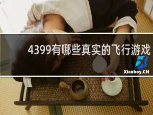 4399有哪些真实的飞行游戏