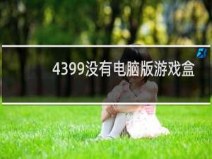 4399没有电脑版游戏盒