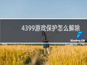 4399游戏保护怎么解除