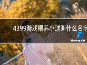 4399游戏喂养小球叫什么名字