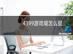 4399游戏喵怎么捉