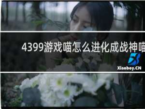 4399游戏喵怎么进化成战神喵