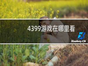 4399游戏在哪里看
