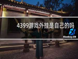 4399游戏外挂是自己的吗