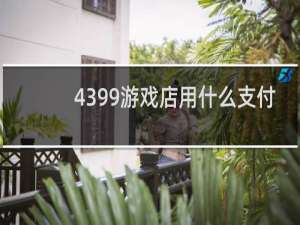 4399游戏店用什么支付