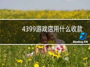 4399游戏店用什么收款