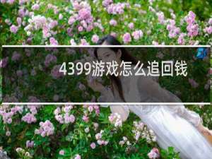 4399游戏怎么追回钱