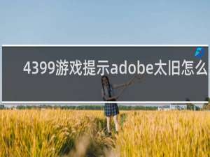 4399游戏提示adobe太旧怎么整