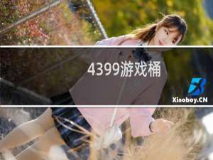 4399游戏桶