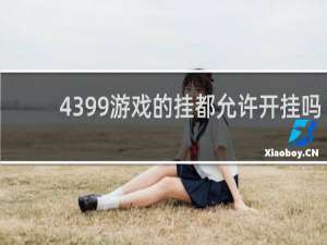 4399游戏的挂都允许开挂吗