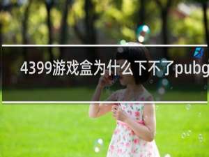 4399游戏盒为什么下不了pubg了