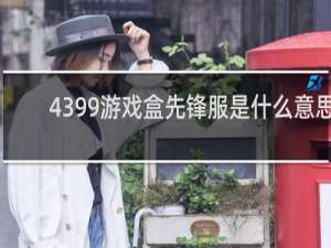 4399游戏盒先锋服是什么意思