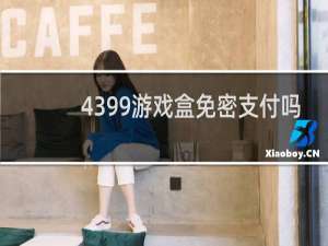 4399游戏盒免密支付吗