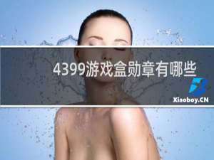 4399游戏盒勋章有哪些