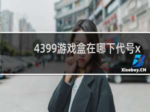 4399游戏盒在哪下代号x