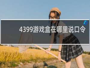 4399游戏盒在哪里说口令