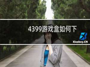 4399游戏盒如何下