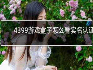 4399游戏盒子怎么看实名认证