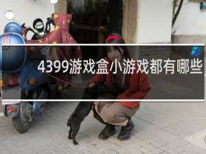 4399游戏盒小游戏都有哪些