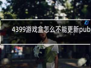 4399游戏盒怎么不能更新pubg