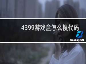 4399游戏盒怎么搜代码