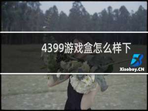 4399游戏盒怎么样下