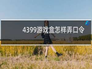 4399游戏盒怎样弄口令