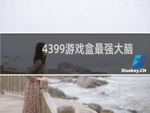 4399游戏盒最强大脑