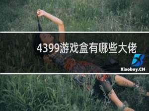 4399游戏盒有哪些大佬