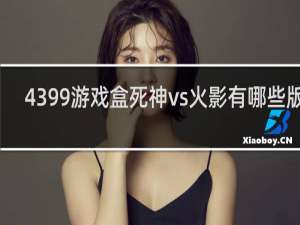 4399游戏盒死神vs火影有哪些版本