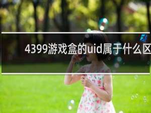 4399游戏盒的uid属于什么区