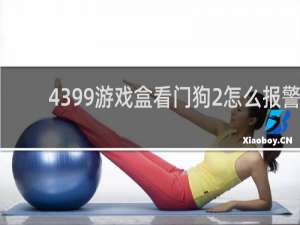 4399游戏盒看门狗2怎么报警