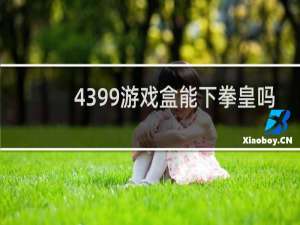 4399游戏盒能下拳皇吗