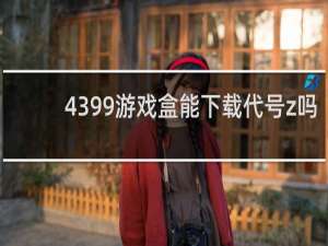 4399游戏盒能下载代号z吗