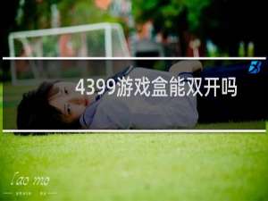 4399游戏盒能双开吗