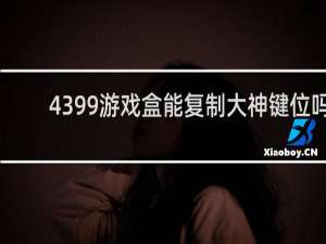 4399游戏盒能复制大神键位吗