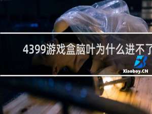 4399游戏盒脑叶为什么进不了
